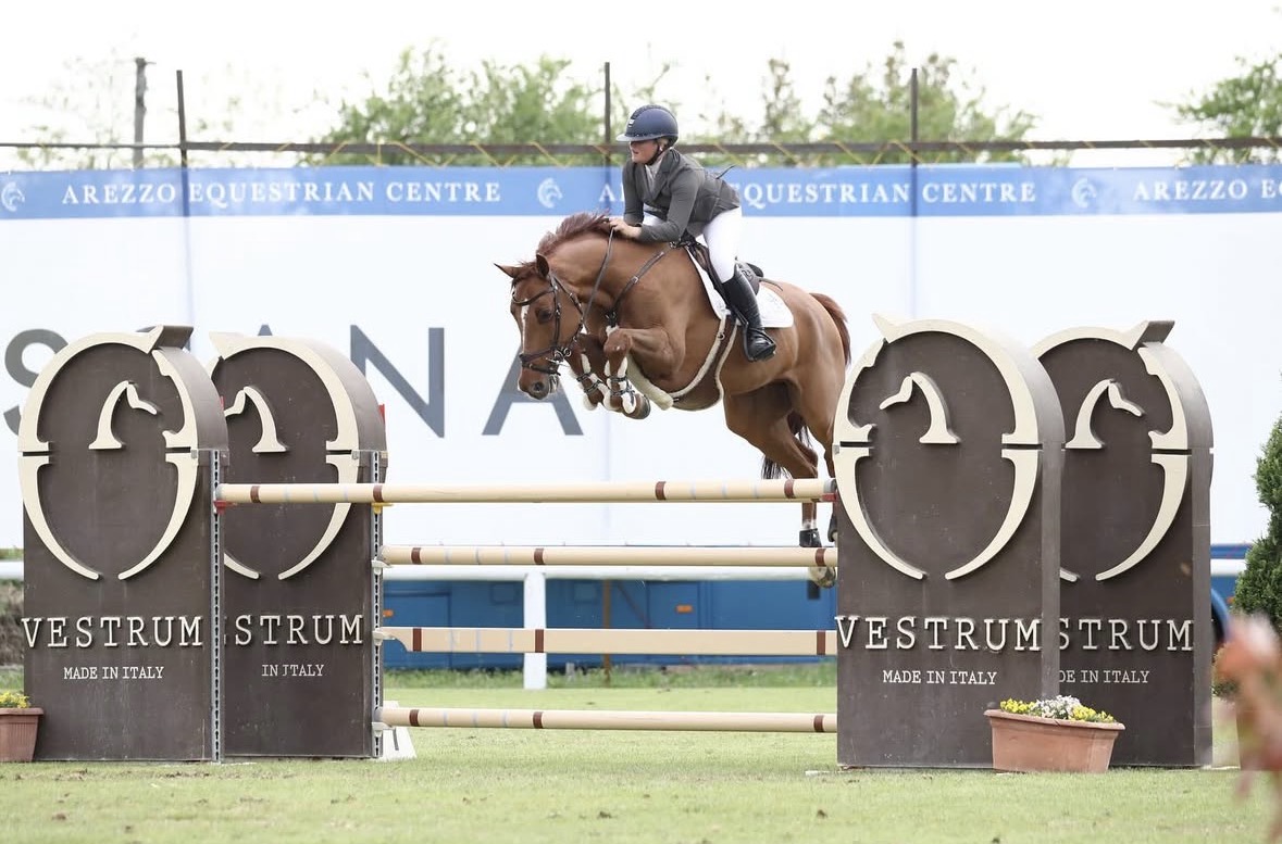 Chacco de Muze PS jumping at Arezzo Equestrian Centre